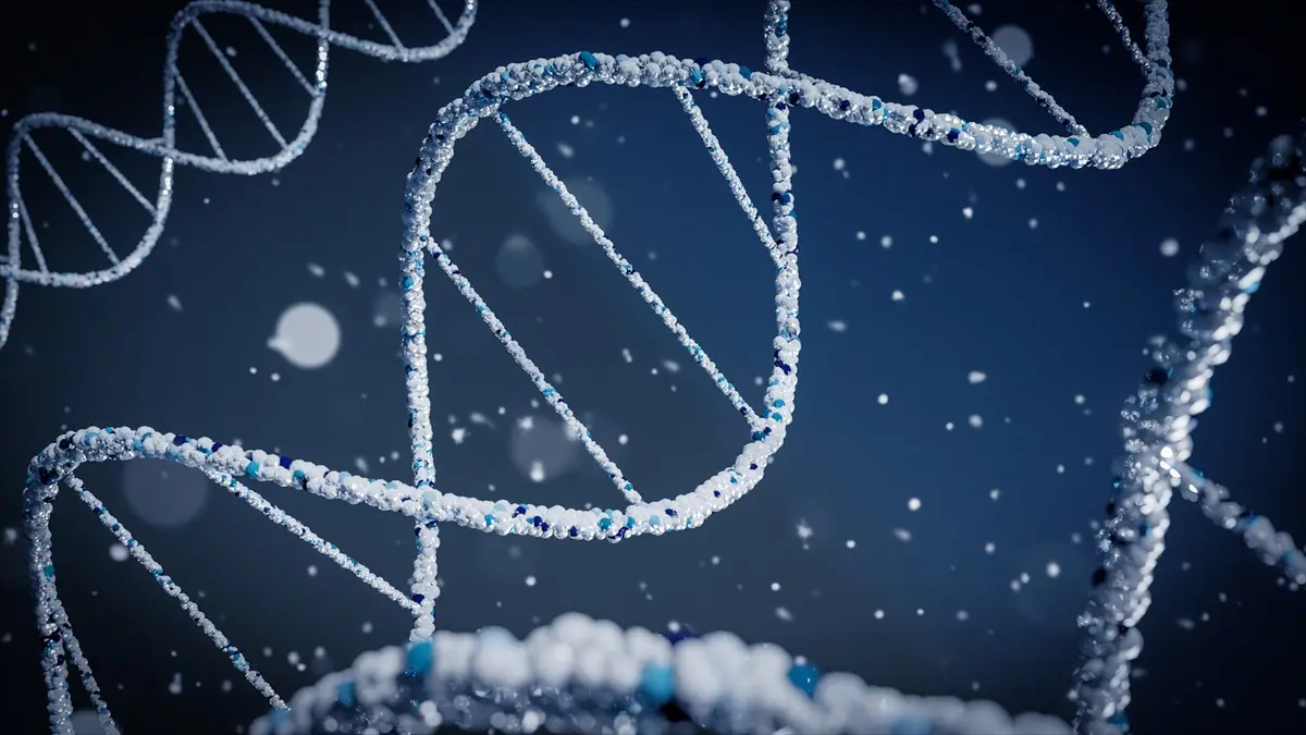 Fragmentomics: Why Size Matters in Cancer Detection