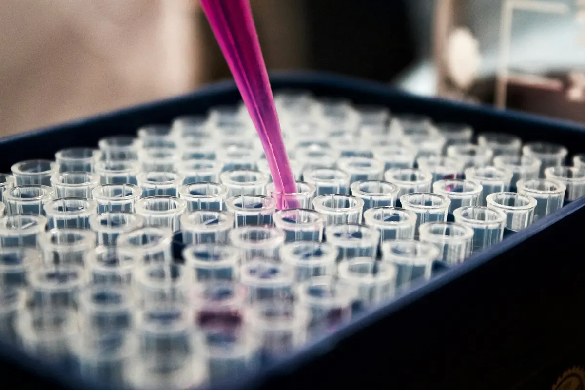 cfDNA 101: The Biology of the 'Liquid Biopsy' in Veterinary Medicine