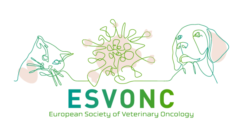 DeepScan at ESVONC in Porto